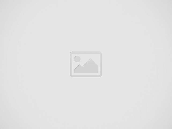 2024년을 빛낼 최고의 작은 철, 놓치지 마세요!